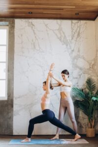 Virabhadrasana I - Warrior I